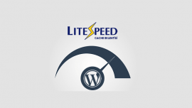 WordPress LiteSpeed Cache Eklentisi